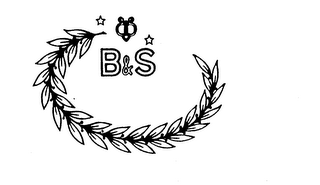 B&S logo