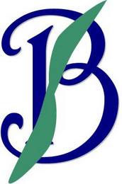 BS logo