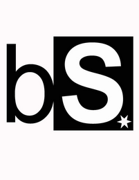 BS logo