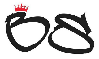 BS logo