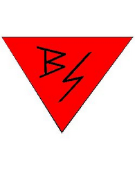 BS logo