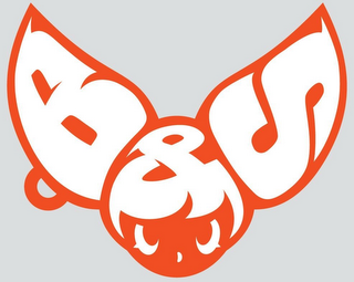 B&S logo