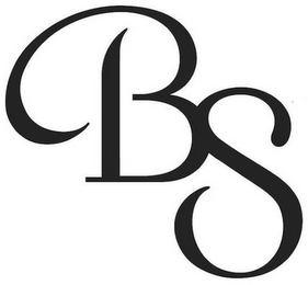 BS logo