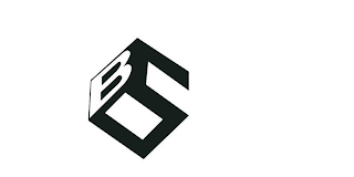 BS logo