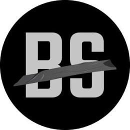 BS logo