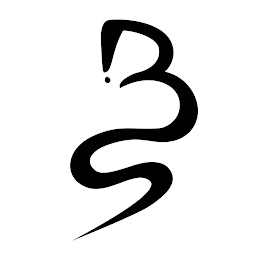 BS logo