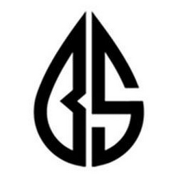 BS logo