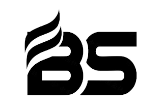 BS logo