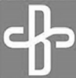 BS logo