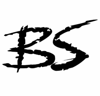 BS logo