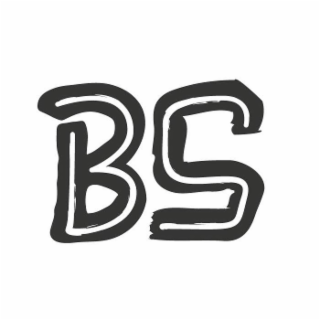BS logo