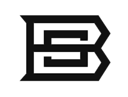 BS logo