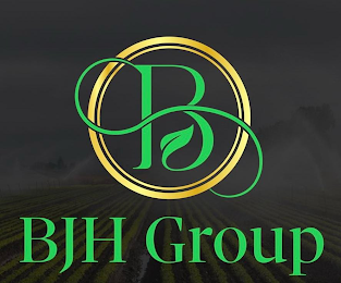 BS BJH GROUP logo