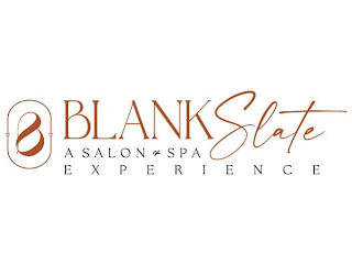 BS BLANK SLATE A SALON & SPA EXPERIENCE logo