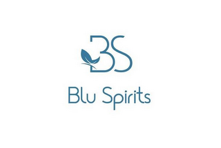 BS BLU SPIRITS logo
