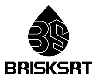 BS BRISKSRT logo