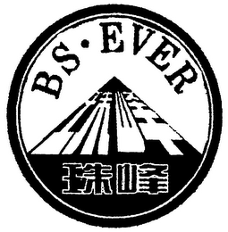 BS EVER logo