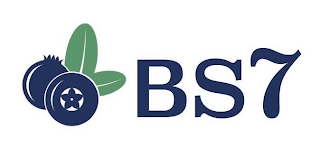 BS7 logo
