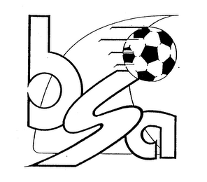 BSA logo