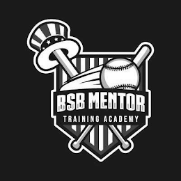 BSB MENTOR TRAINING ACADEMY logo