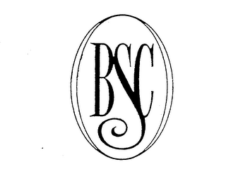BSC logo