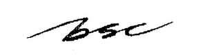 BSC logo