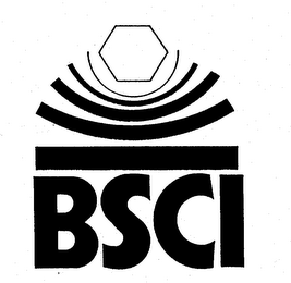 BSCI logo