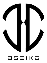 BSEIKO logo