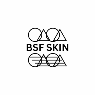 BSF SKIN logo