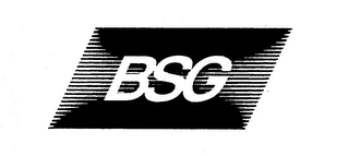 BSG logo