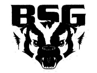 BSG logo