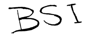 BSI logo