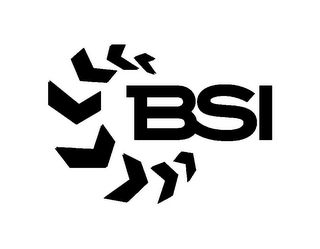 BSI logo