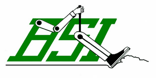 BSI logo