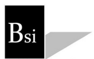 BSI logo