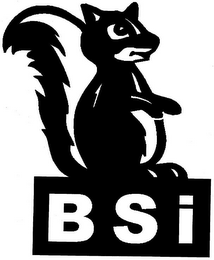 BSI logo
