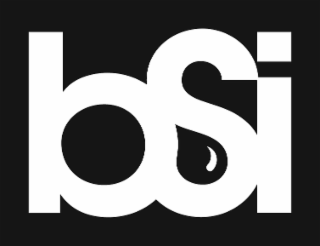 BSI logo