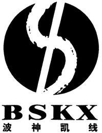 BSKX logo