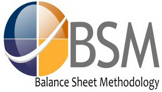 BSM BALANCE SHEET METHODOLOGY logo