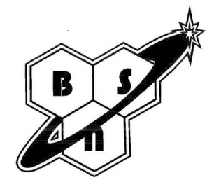 BSN logo