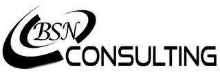 BSN CONSULTING logo