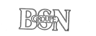 BSN GROUPE logo