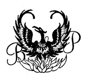 BSP logo