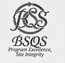 BSQS BSQS PROGRAM EXCELLENCE, SITE INTEGRITY logo
