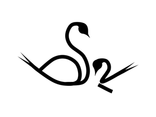 BSR logo