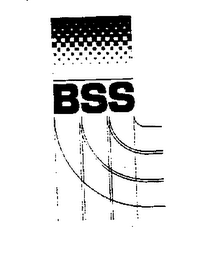 BSS logo