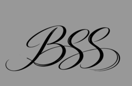 BSS logo