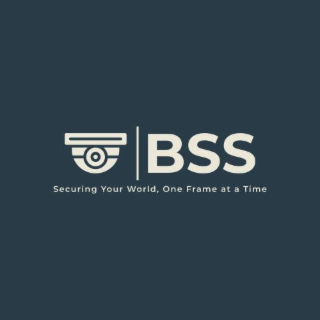 BSS SECURING YOUR WORLD, ONE FRAME AT A TIME logo