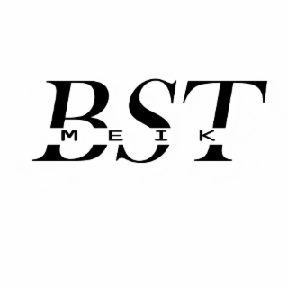 BST MEIK logo