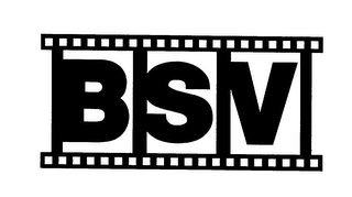 BSV logo